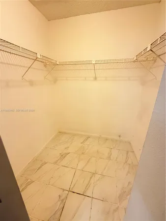 a view of a dry yard