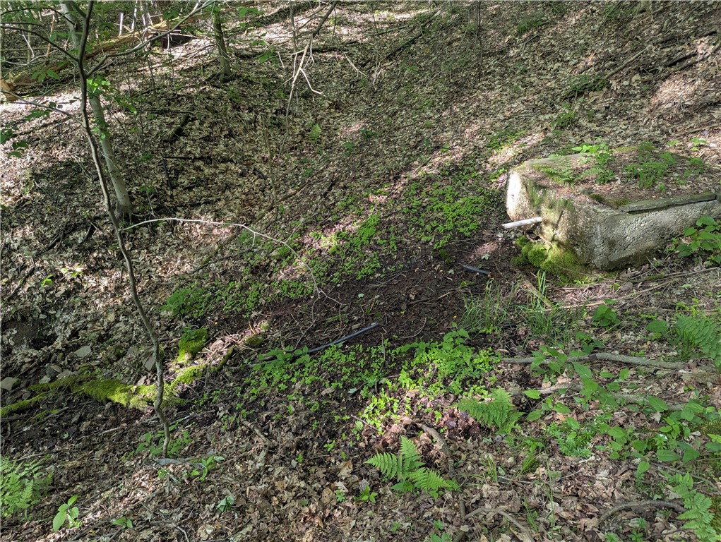 0 Two 2 Mile Road Port Allegany, PA 16743 - Photo 15 of 29