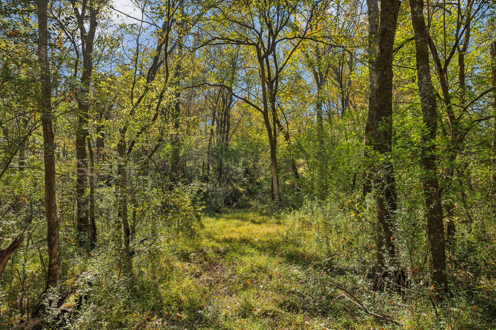 4 B Stephens Road Columbia, TN 38401 - Photo 8 of 11 Gallery Image 8