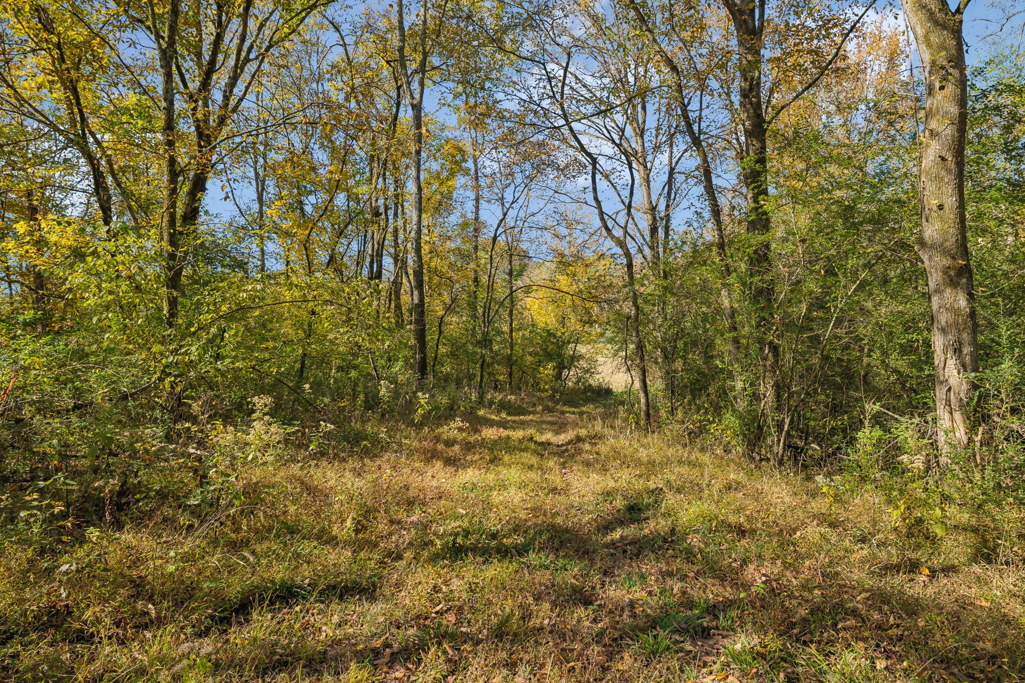 4 B Stephens Road Columbia, TN 38401 - Photo 9 of 11 Gallery Image 9