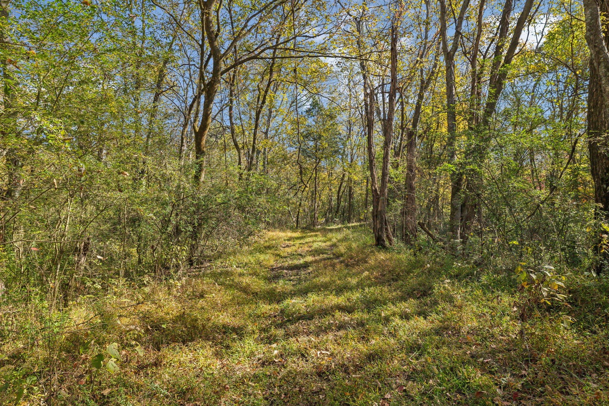4 B Stephens Road Columbia, TN 38401 - Photo 10 of 11 Gallery Image 10