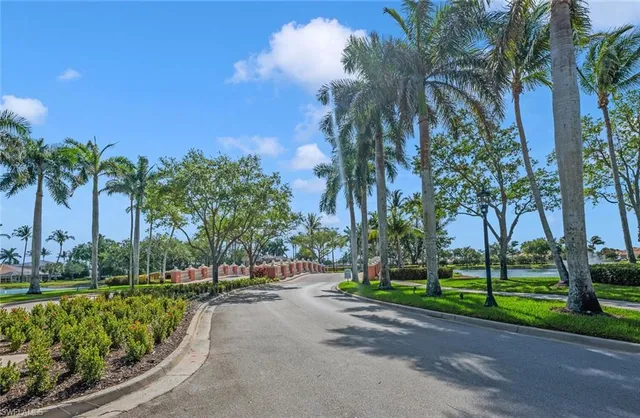 a view of a park with palm trees