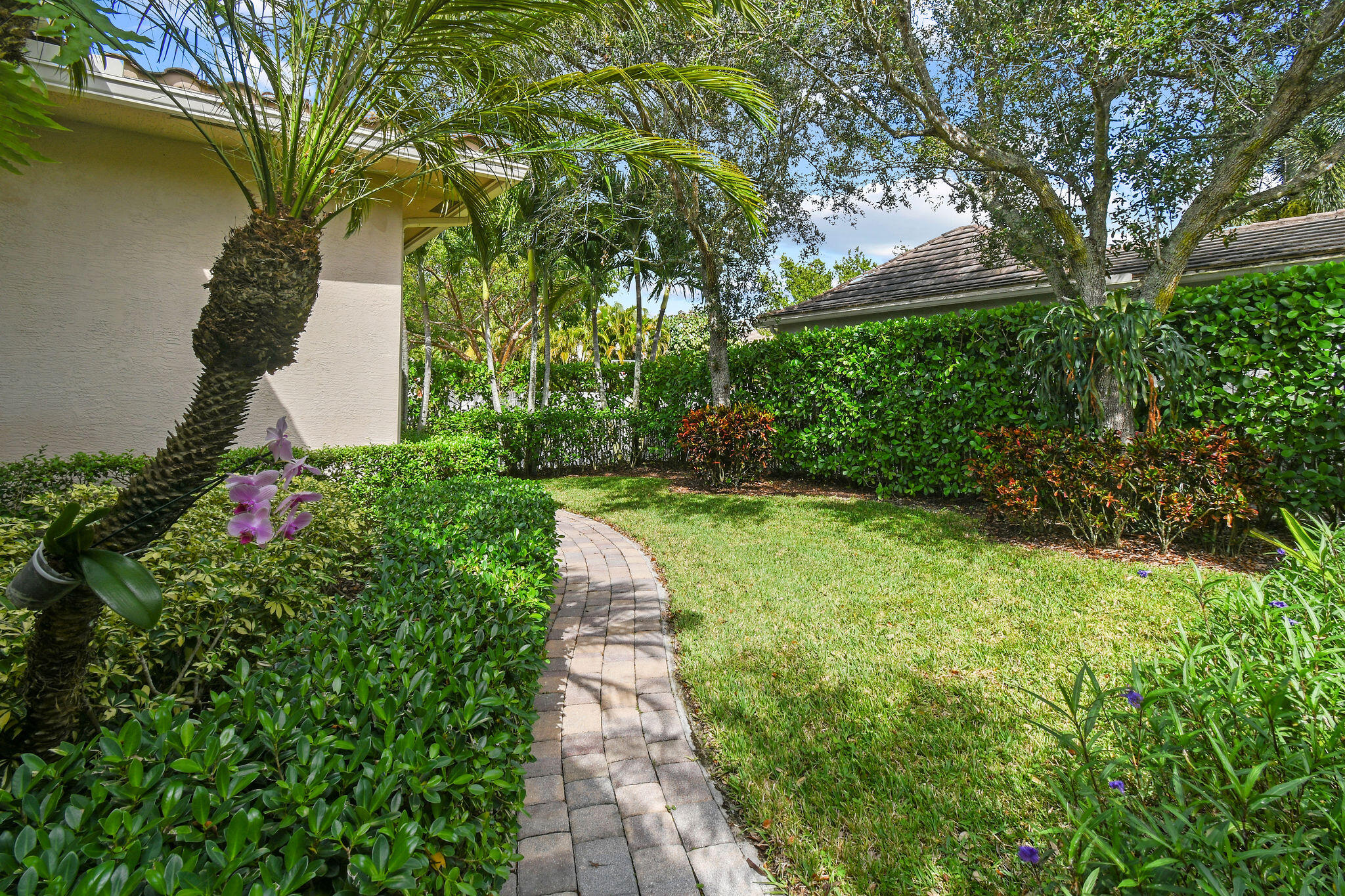 167 Arklow Avenue Jupiter, FL 33458 - Photo 44 of 58 a view of a back yard with flower plants and large trees