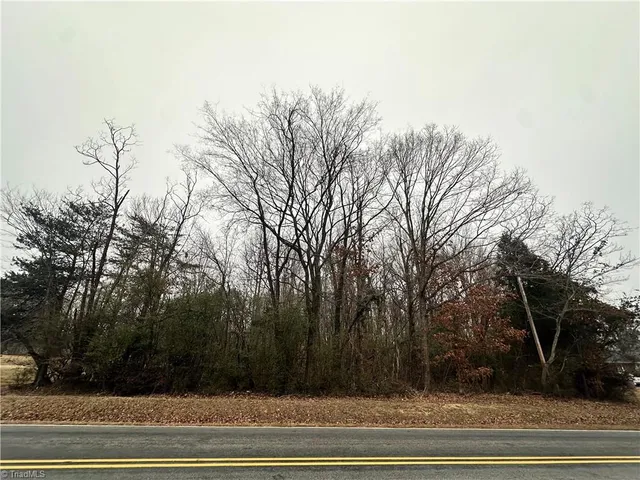 $24,900 | 0 Priddy Loop, Stoneville, NC 27048