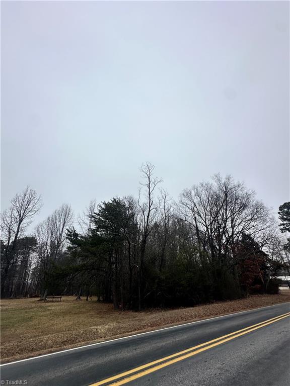 0 Priddy Loop Stoneville, NC 27048 - Photo 2 of 4