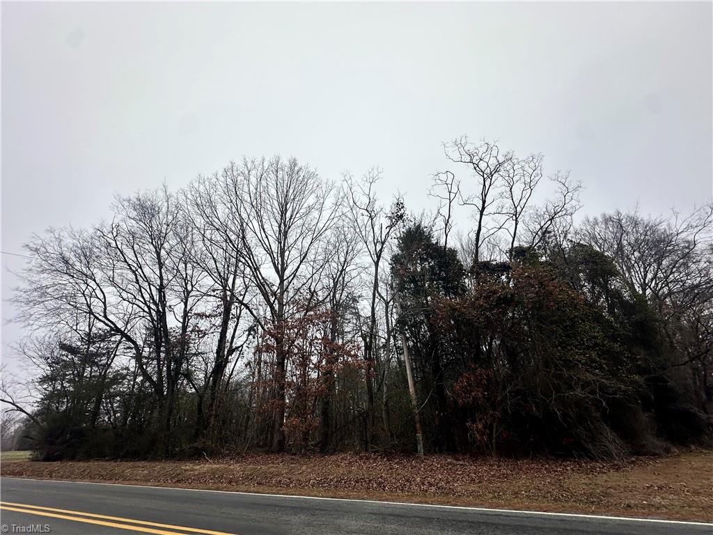 0 Priddy Loop Stoneville, NC 27048 - Photo 3 of 4