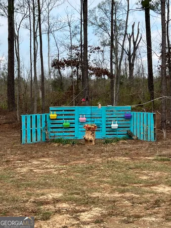 a view of a park with large trees