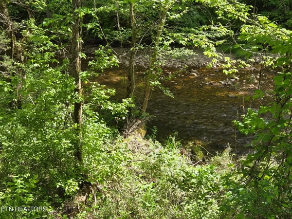 $150,000 | Old 15th Road, Del Rio, TN 37727