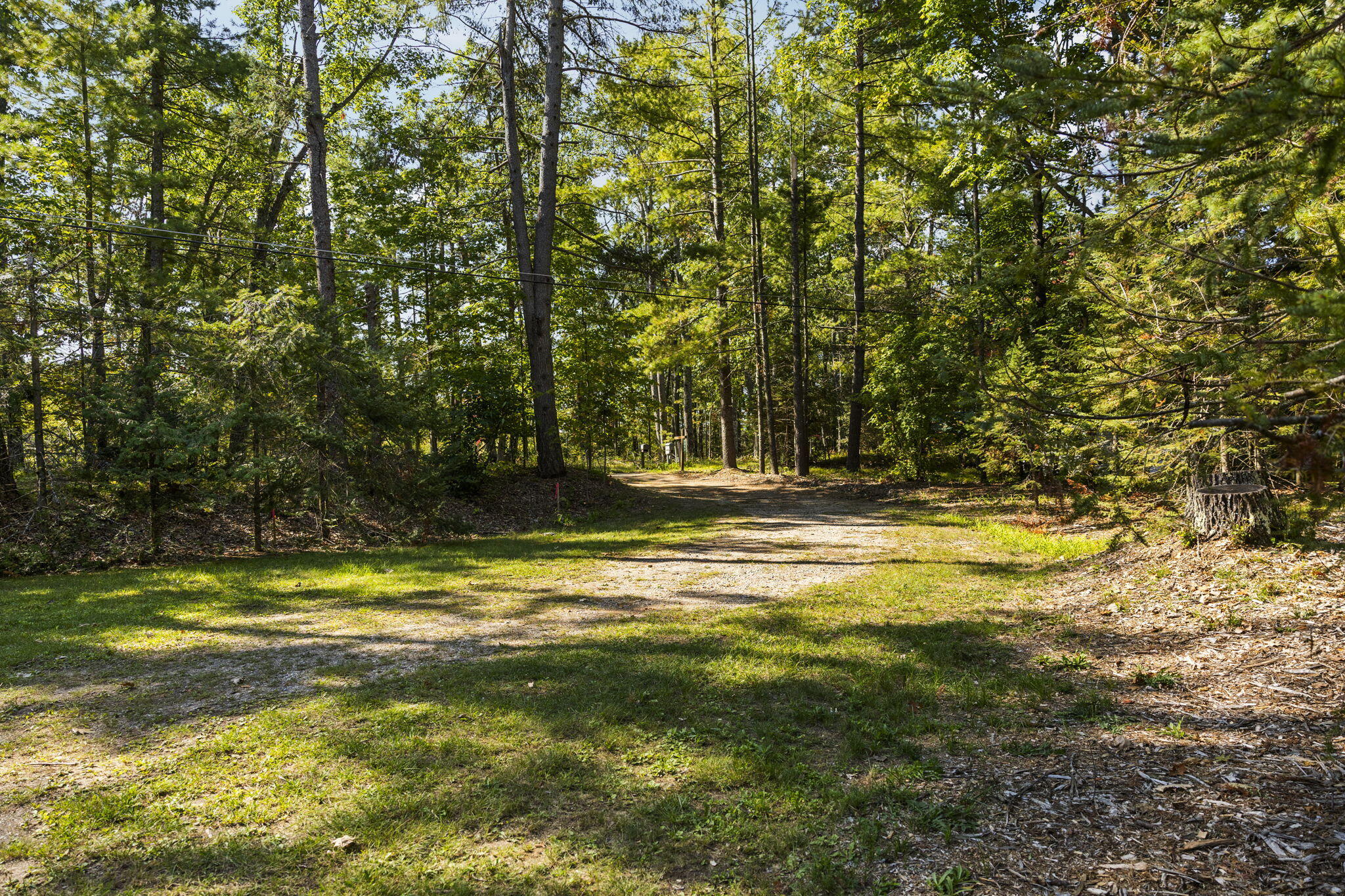 2350 Cobb Road Lewiston, MI 49756 - Photo 58 of 63 52-web-or-mls-CAG_9907