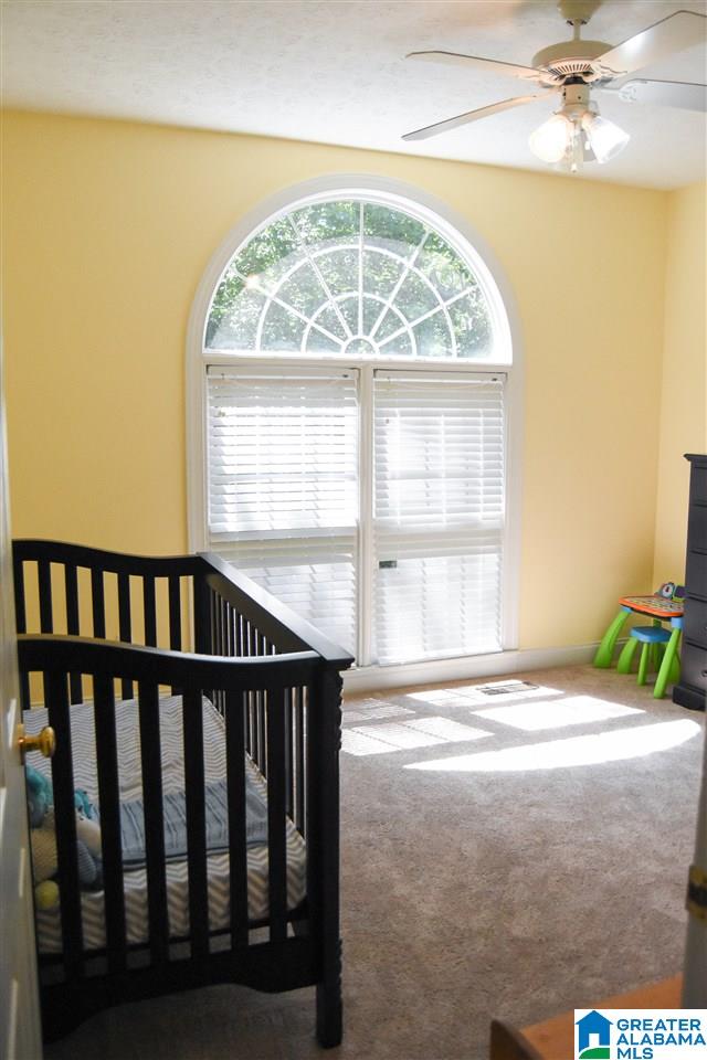 925 Pleasant Valley Road Jacksonville, AL 36265 - Photo 30 of 47
