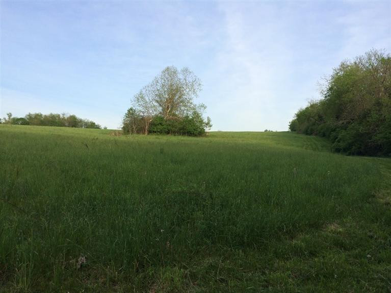 8265 Tates Creek Road Lexington, KY 40515 - Photo 10 of 14 Photo 10