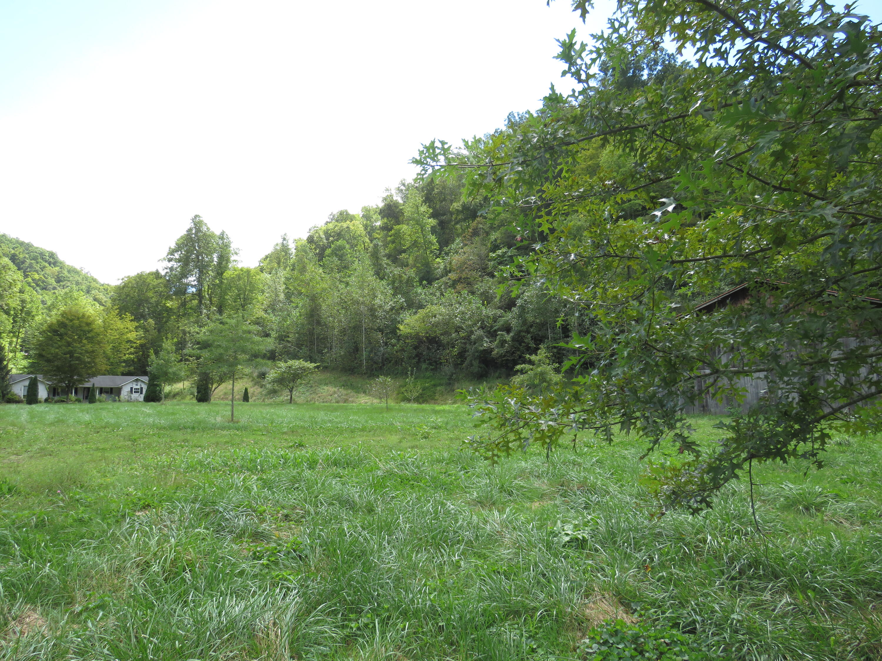 108 Lost Fork Road Manchester, KY 40962 - Photo 63 of 111 IMG_4467