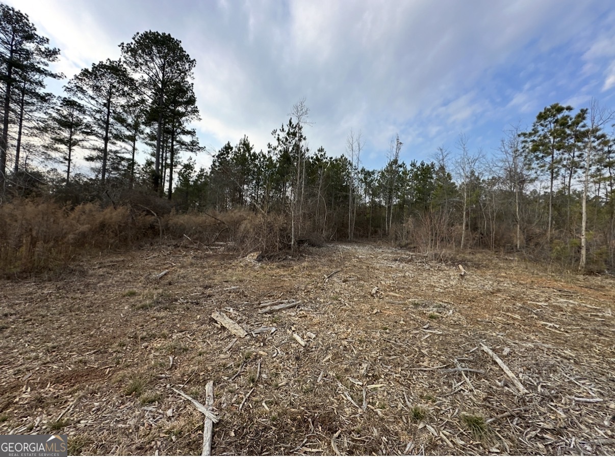 21 Emmaus Drive Elberton, GA 30635 - Photo 32 of 68