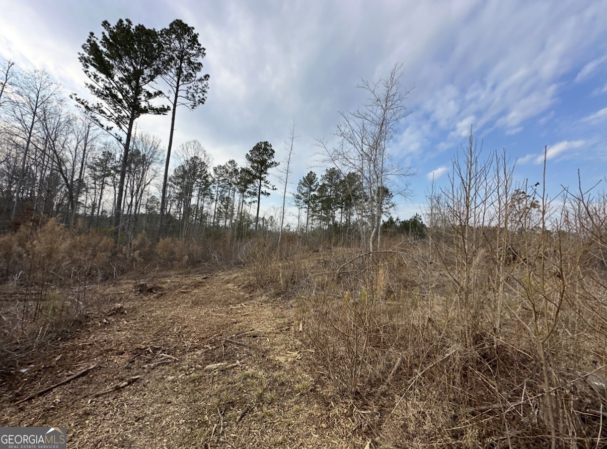 21 Emmaus Drive Elberton, GA 30635 - Photo 34 of 68