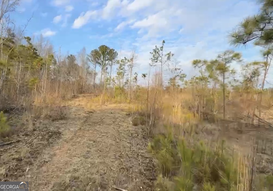 21 Emmaus Drive Elberton, GA 30635 - Photo 36 of 68