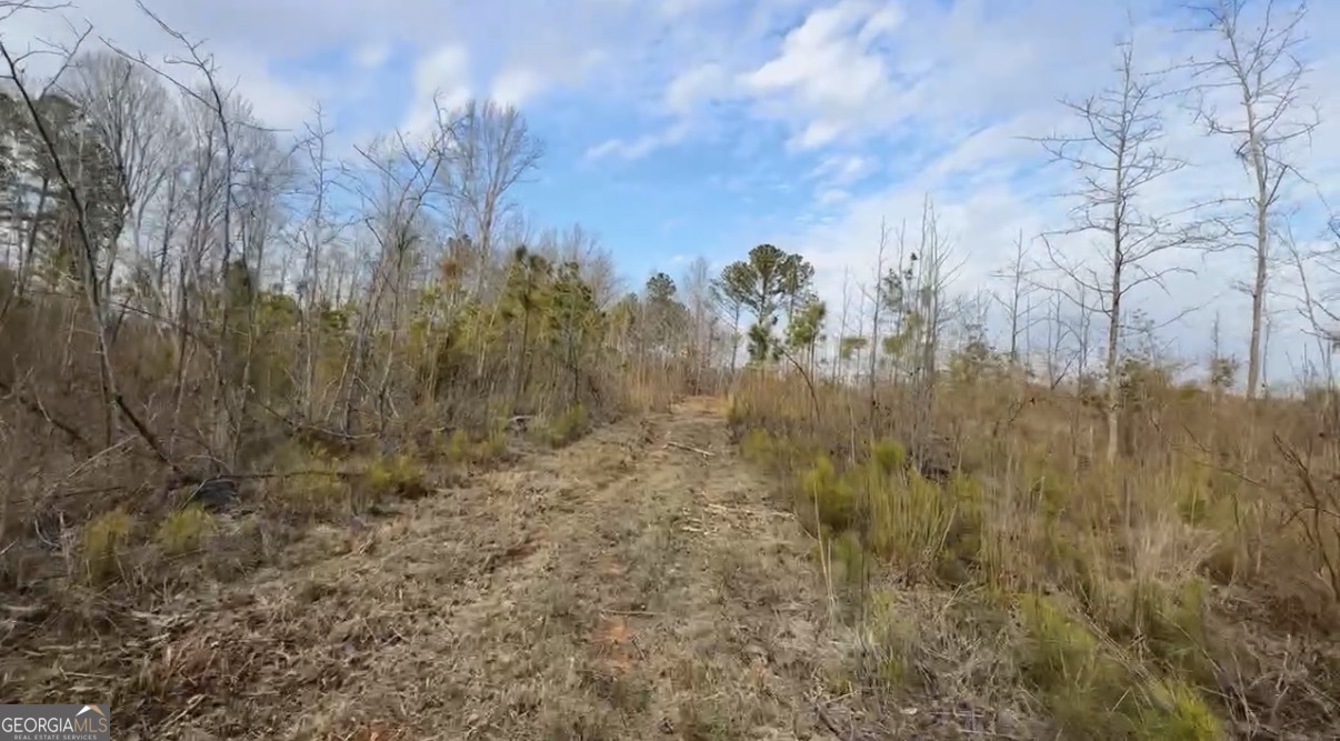 21 Emmaus Drive Elberton, GA 30635 - Photo 37 of 68