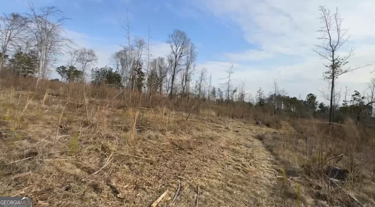 21 Emmaus Drive Elberton, GA 30635 - Photo 38 of 68