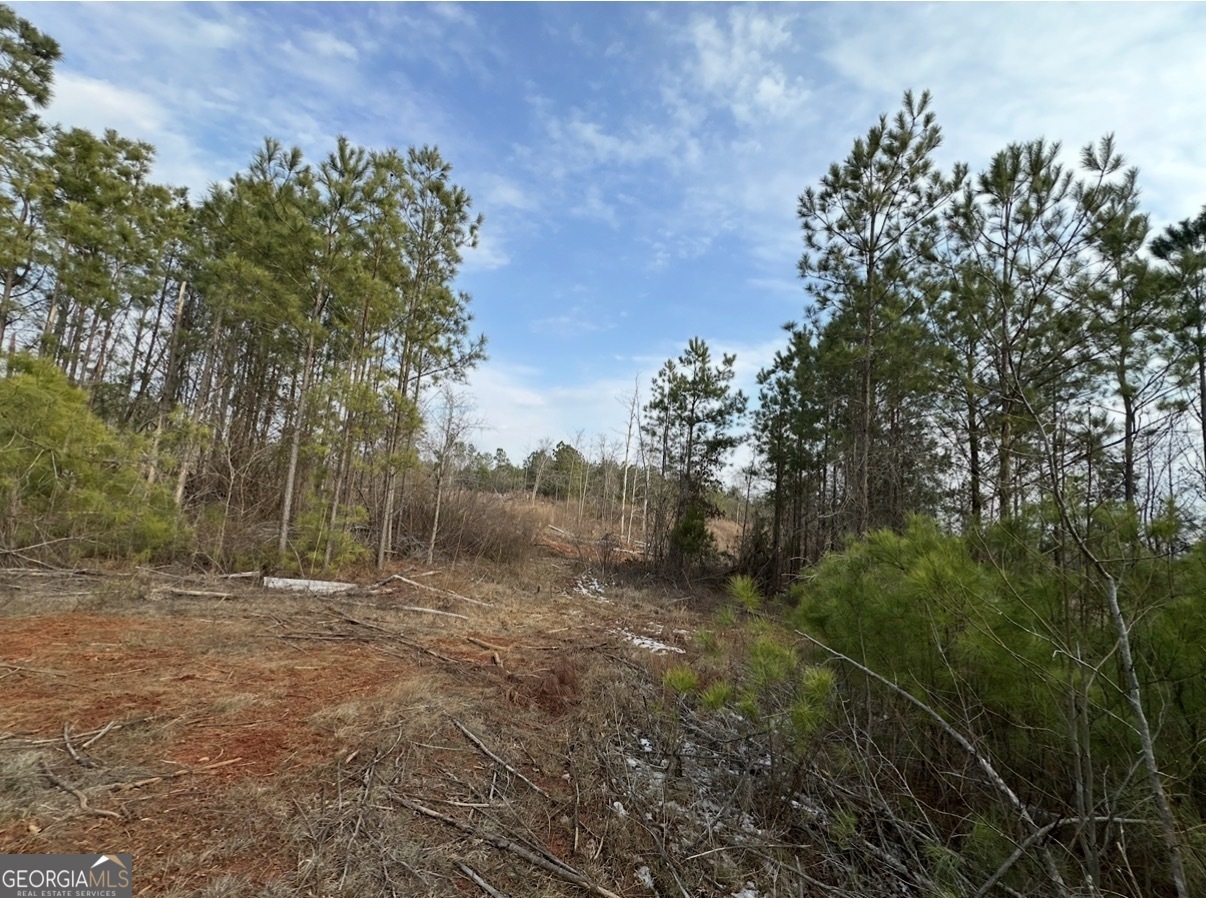 21 Emmaus Drive Elberton, GA 30635 - Photo 39 of 68