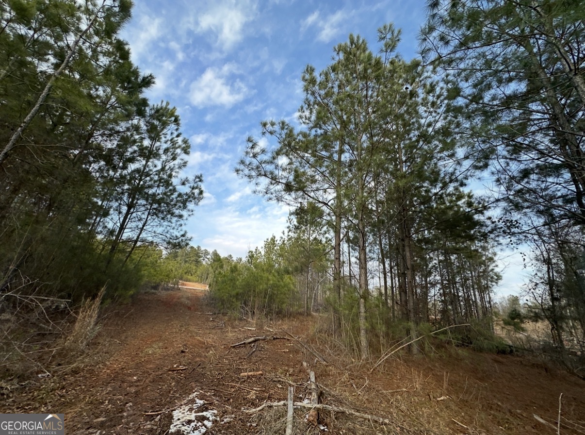 21 Emmaus Drive Elberton, GA 30635 - Photo 40 of 68