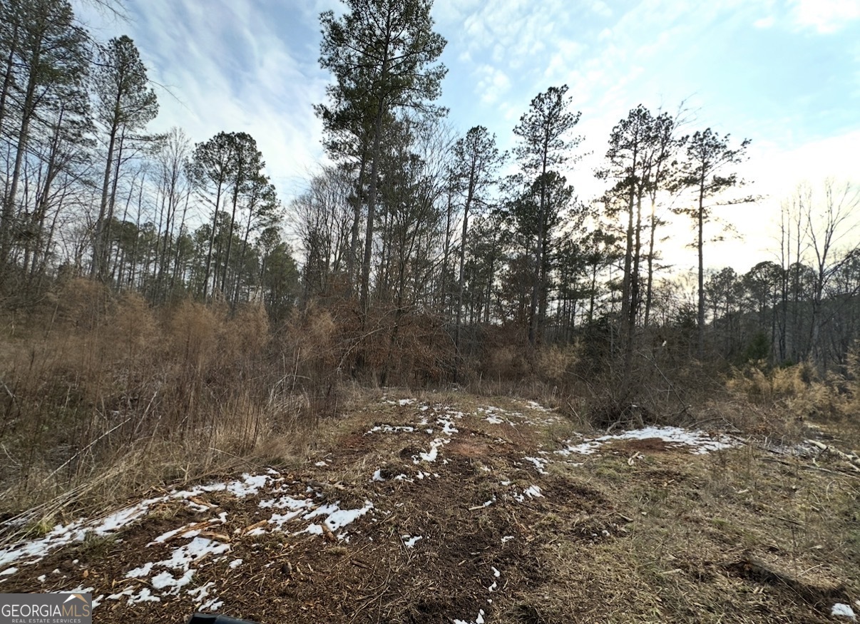 21 Emmaus Drive Elberton, GA 30635 - Photo 42 of 68