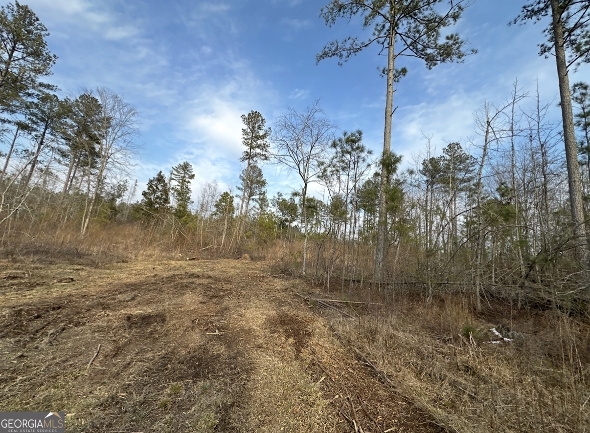 21 Emmaus Drive Elberton, GA 30635 - Photo 43 of 68