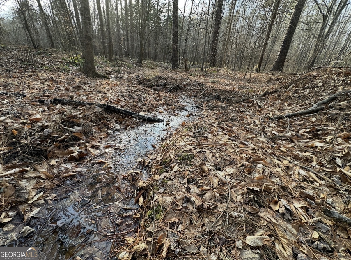 21 Emmaus Drive Elberton, GA 30635 - Photo 45 of 68