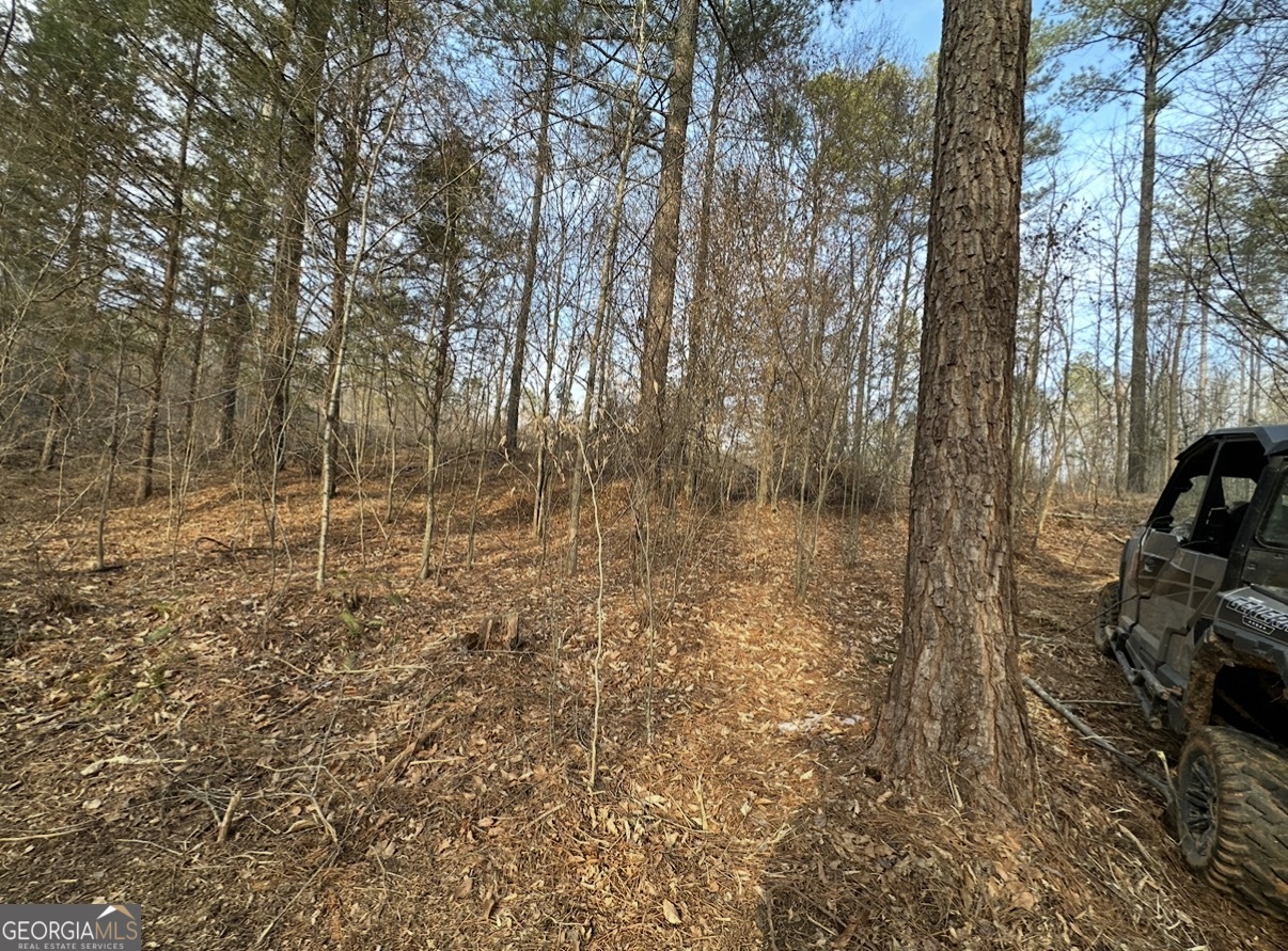 21 Emmaus Drive Elberton, GA 30635 - Photo 46 of 68