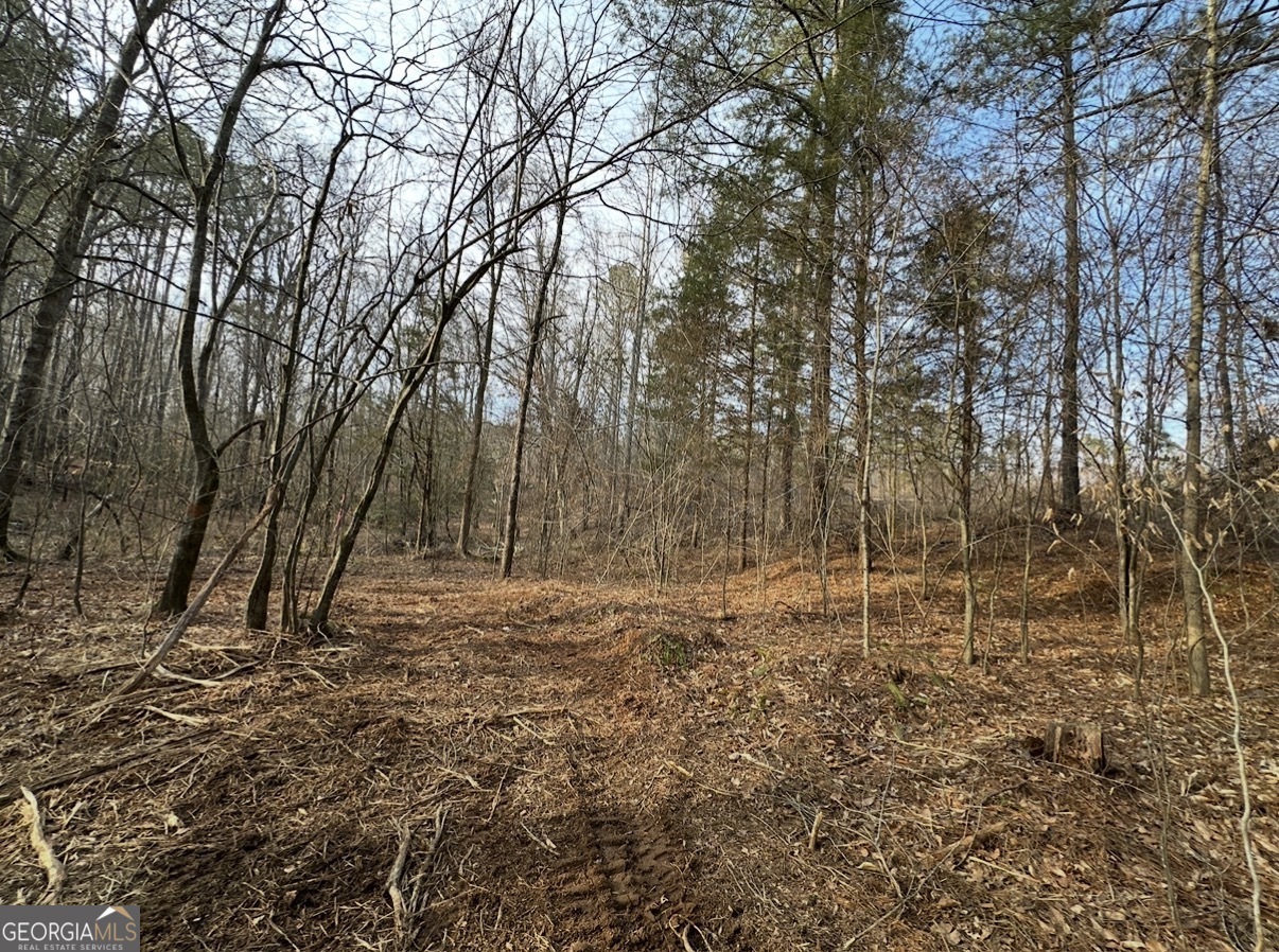 21 Emmaus Drive Elberton, GA 30635 - Photo 47 of 68