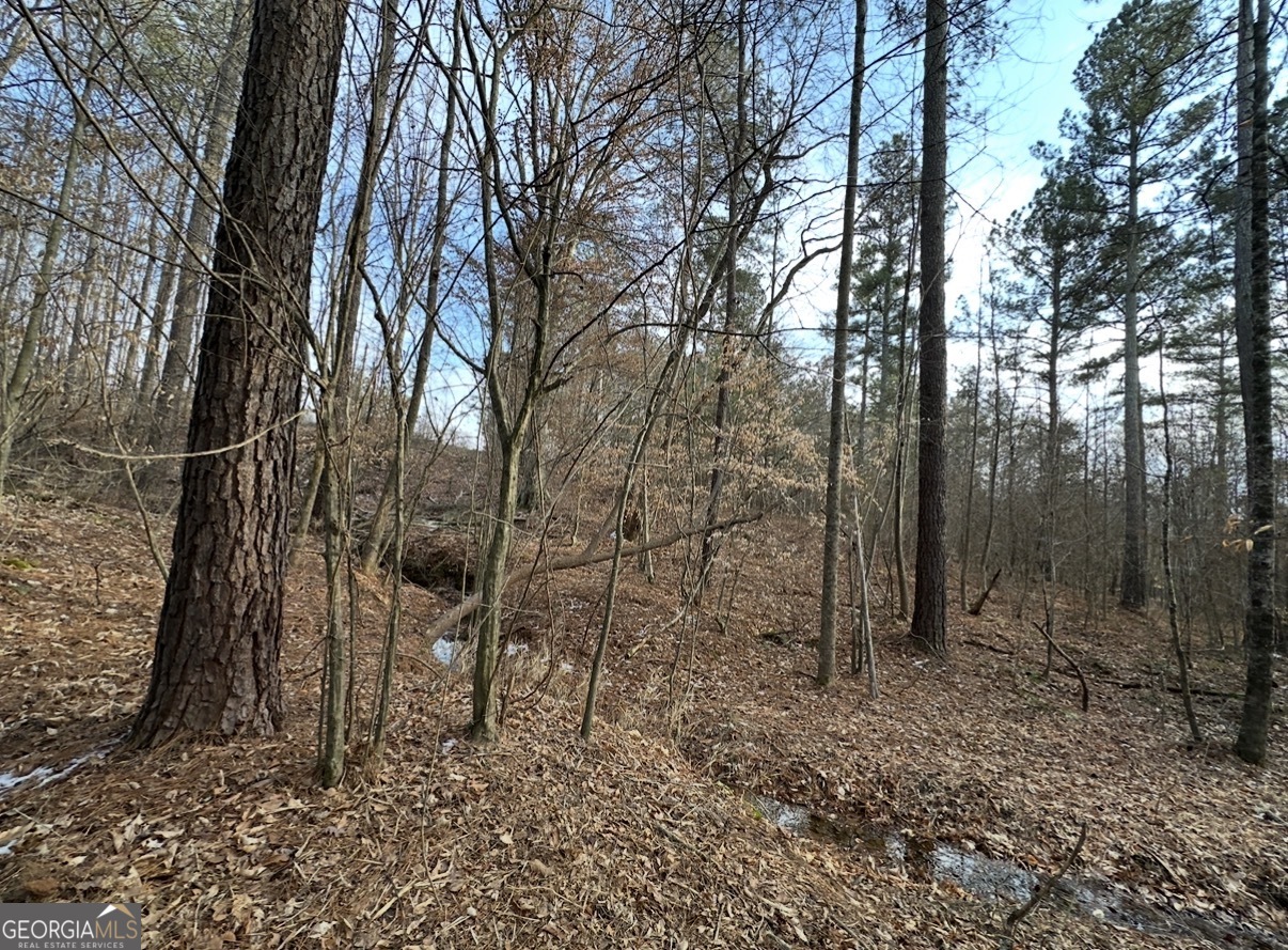 21 Emmaus Drive Elberton, GA 30635 - Photo 48 of 68