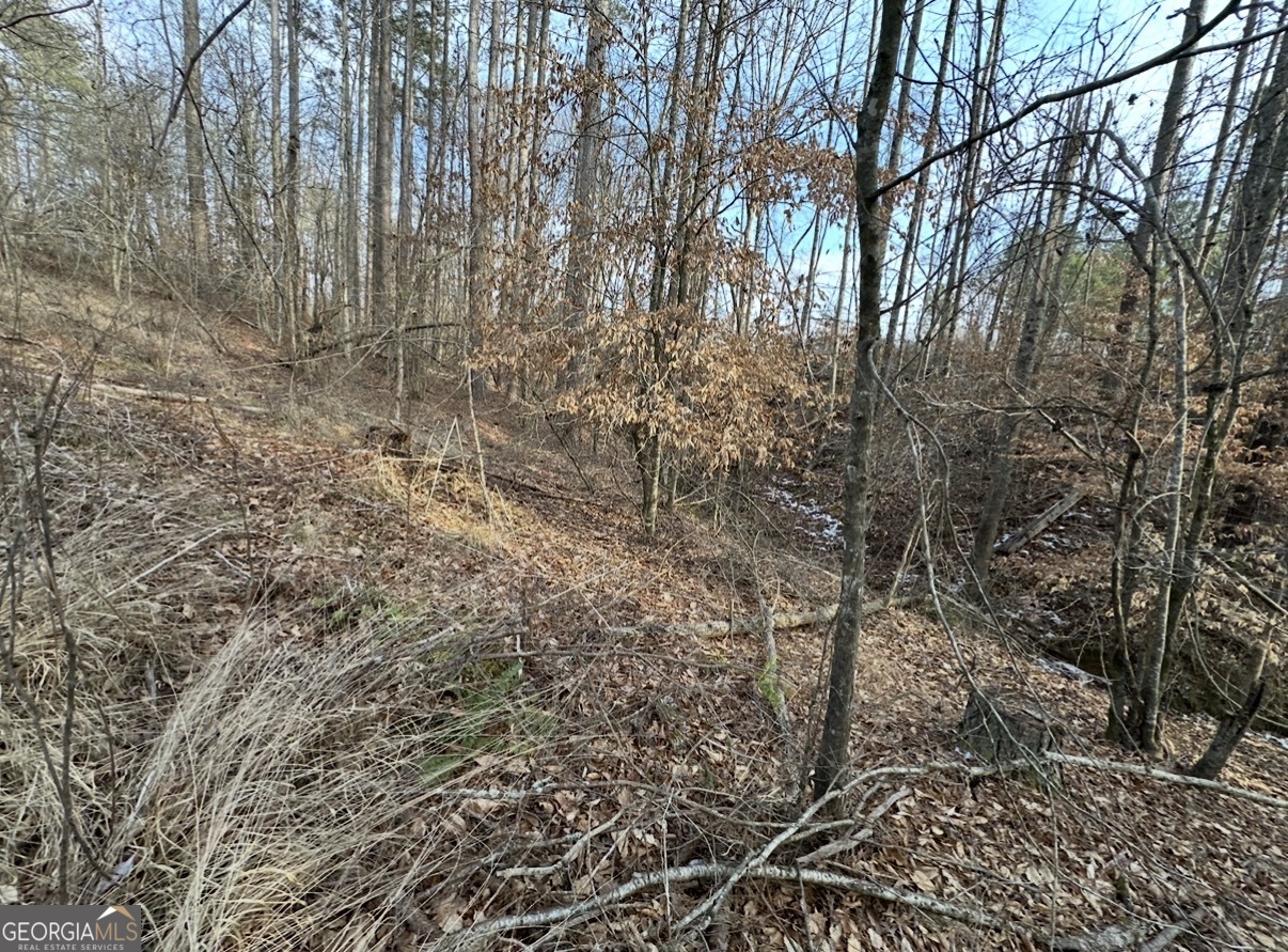 21 Emmaus Drive Elberton, GA 30635 - Photo 49 of 68