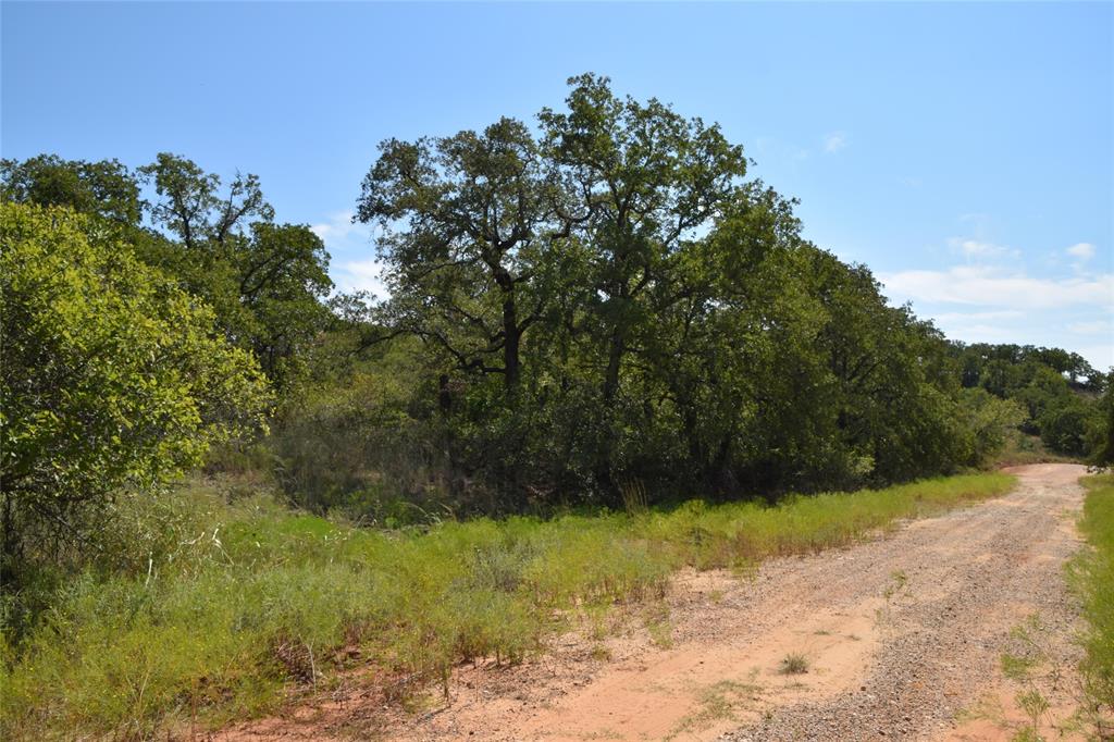 a view of backyard with outdoor space