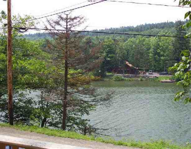 342 Bear Gulch Road Summit, NY 12175 - Photo 4 of 4 Photo 4