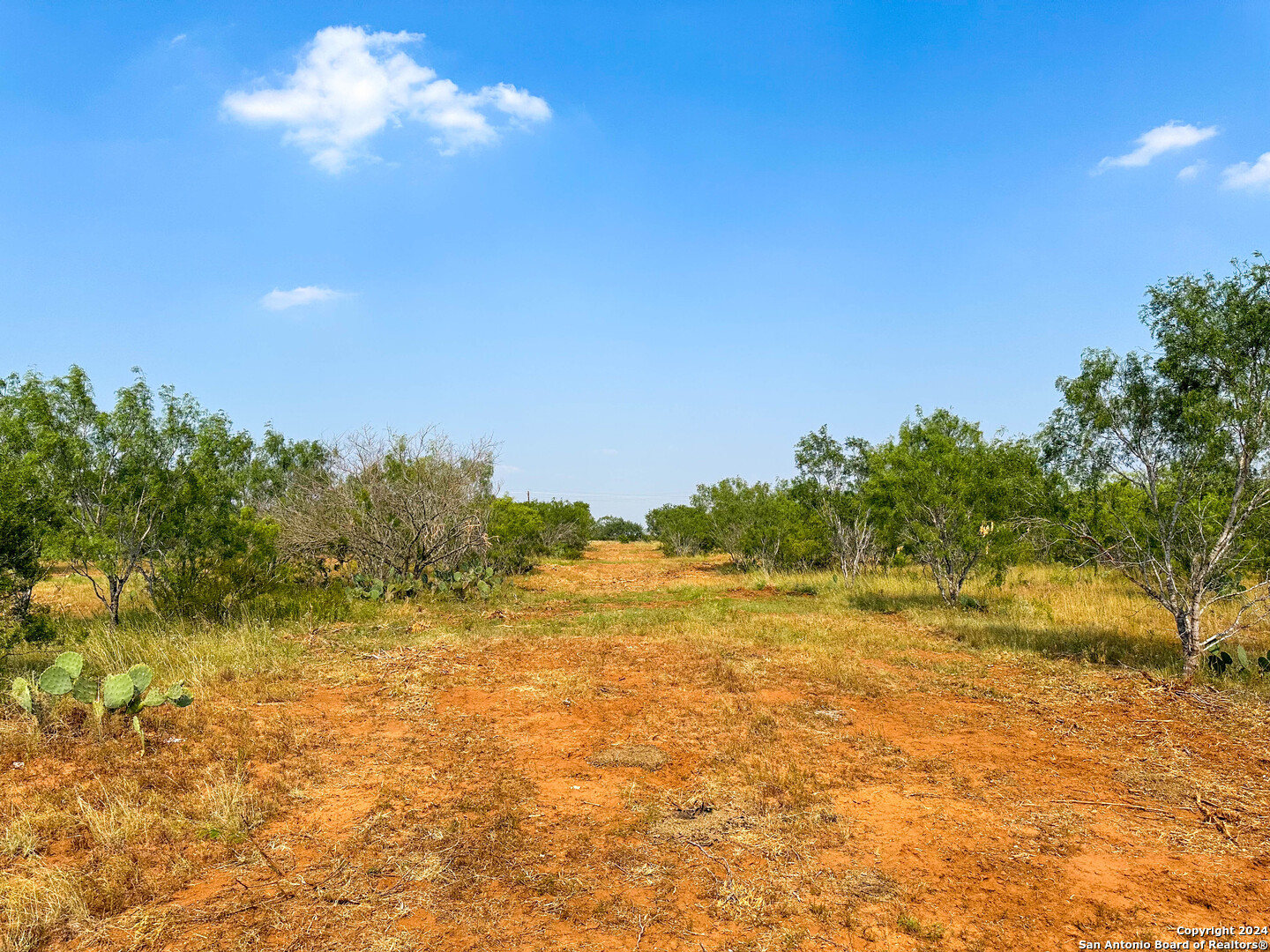 0 County Road 429 Pleasanton, TX 78064 - Photo 1 of 7