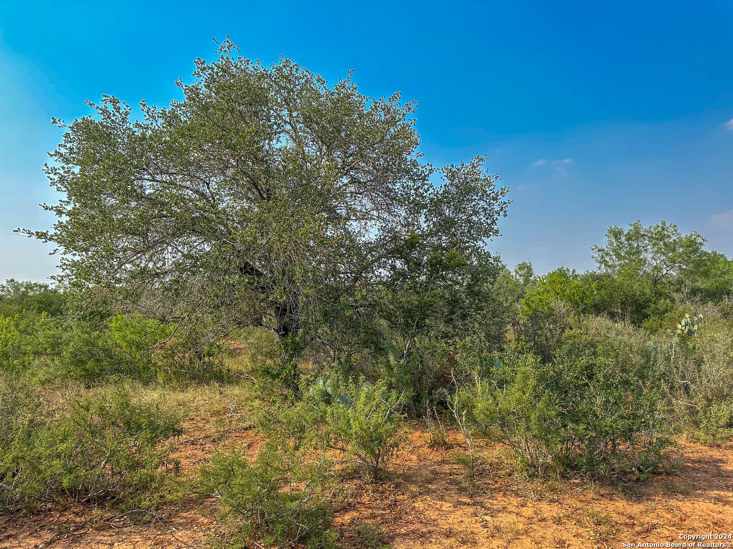 0 County Road 429 Pleasanton, TX 78064 - Photo 3 of 7