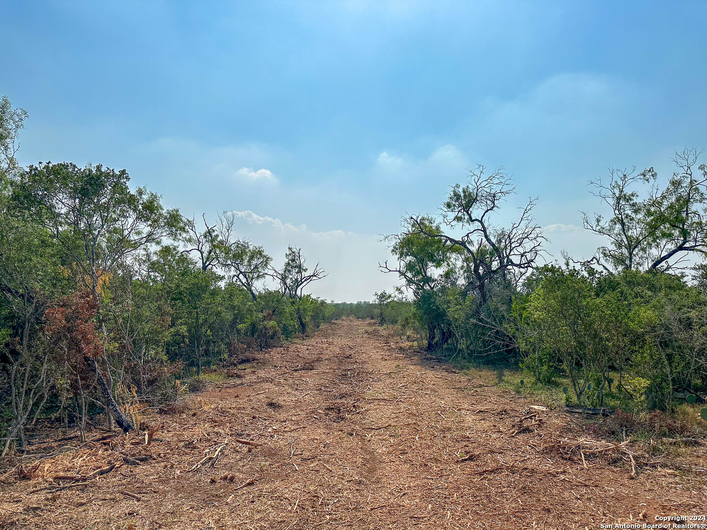 0 County Road 429 Pleasanton, TX 78064 - Photo 5 of 7