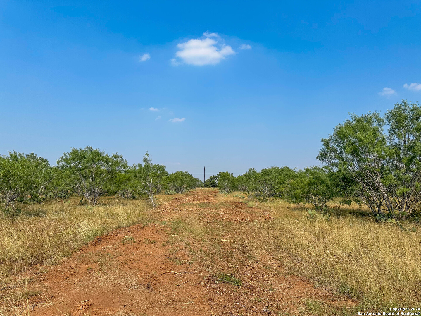 0 County Road 429 Pleasanton, TX 78064 - Photo 6 of 7