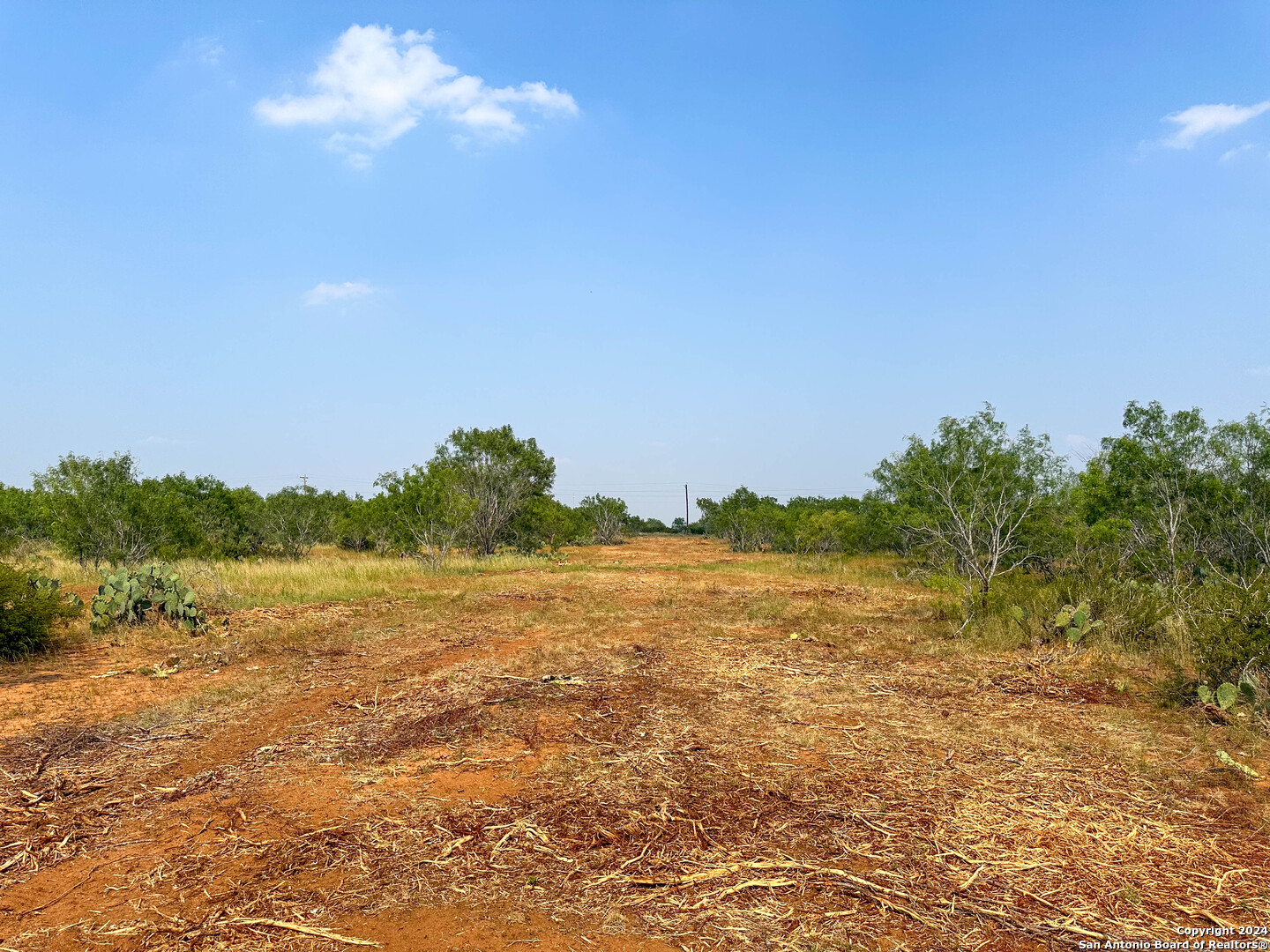 0 County Road 429 Pleasanton, TX 78064 - Photo 7 of 7