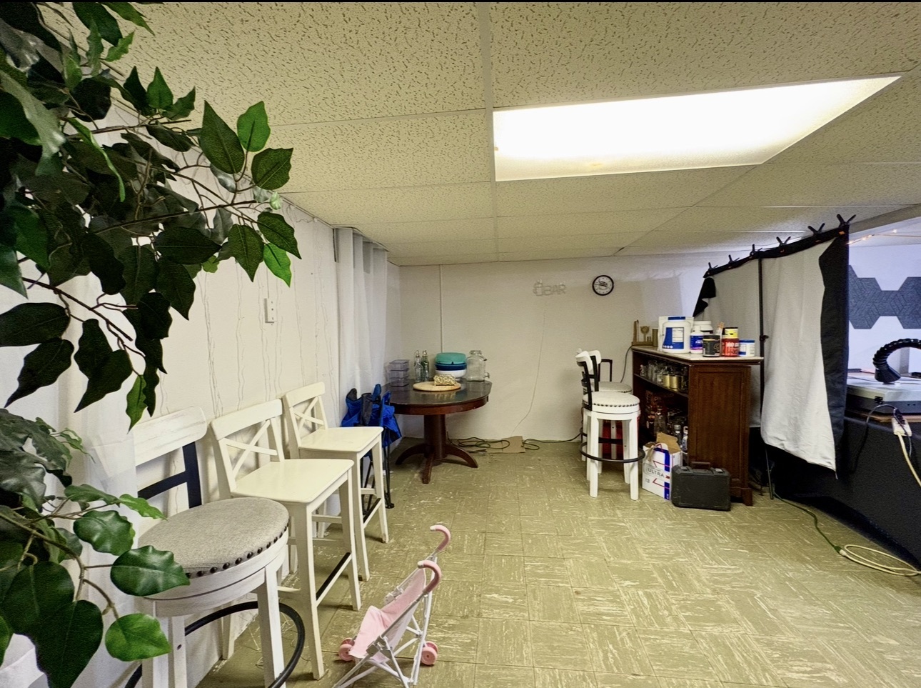 1726 Union Avenue Belvidere, IL 61008 - Photo 23 of 27 a living room with furniture and a potted plant