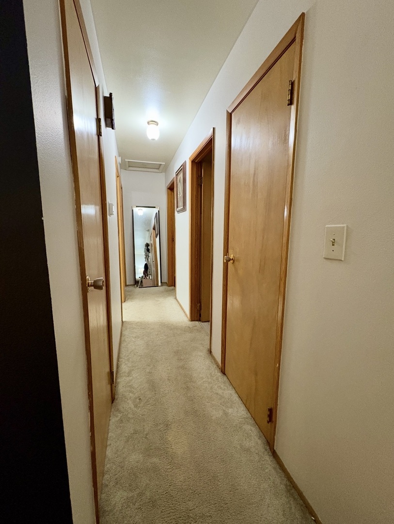 1726 Union Avenue Belvidere, IL 61008 - Photo 10 of 27