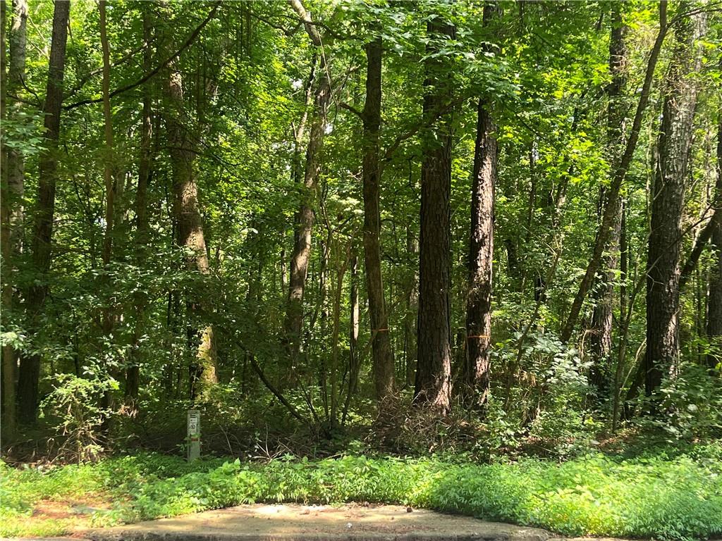 5743 Tunbridge Wells Road Lithonia, GA 30058 - Photo 5 of 5 a view of forest