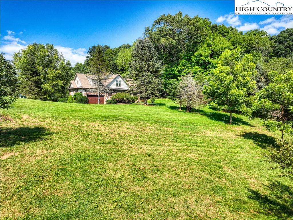 330 Crain Branch Lane Jefferson, NC 28640 - Photo 13 of 45 a view of a big yard with plants and a large tree