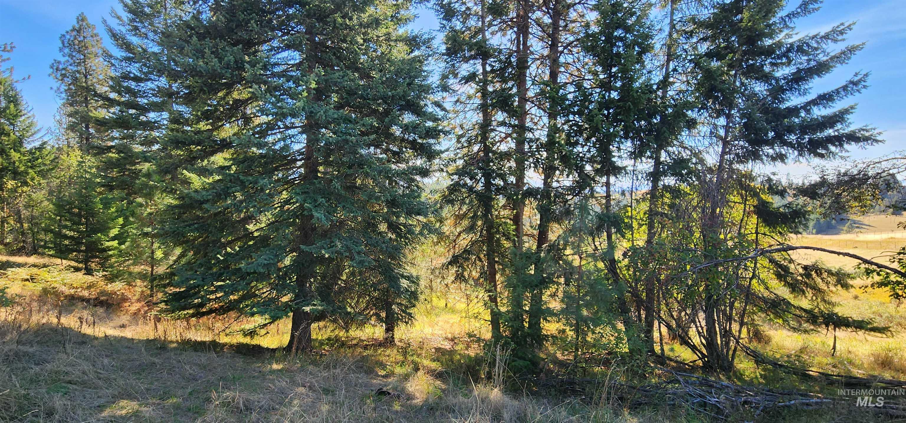 Tbd Red Fir Road Kooskia, ID 83539 - Photo 14 of 34