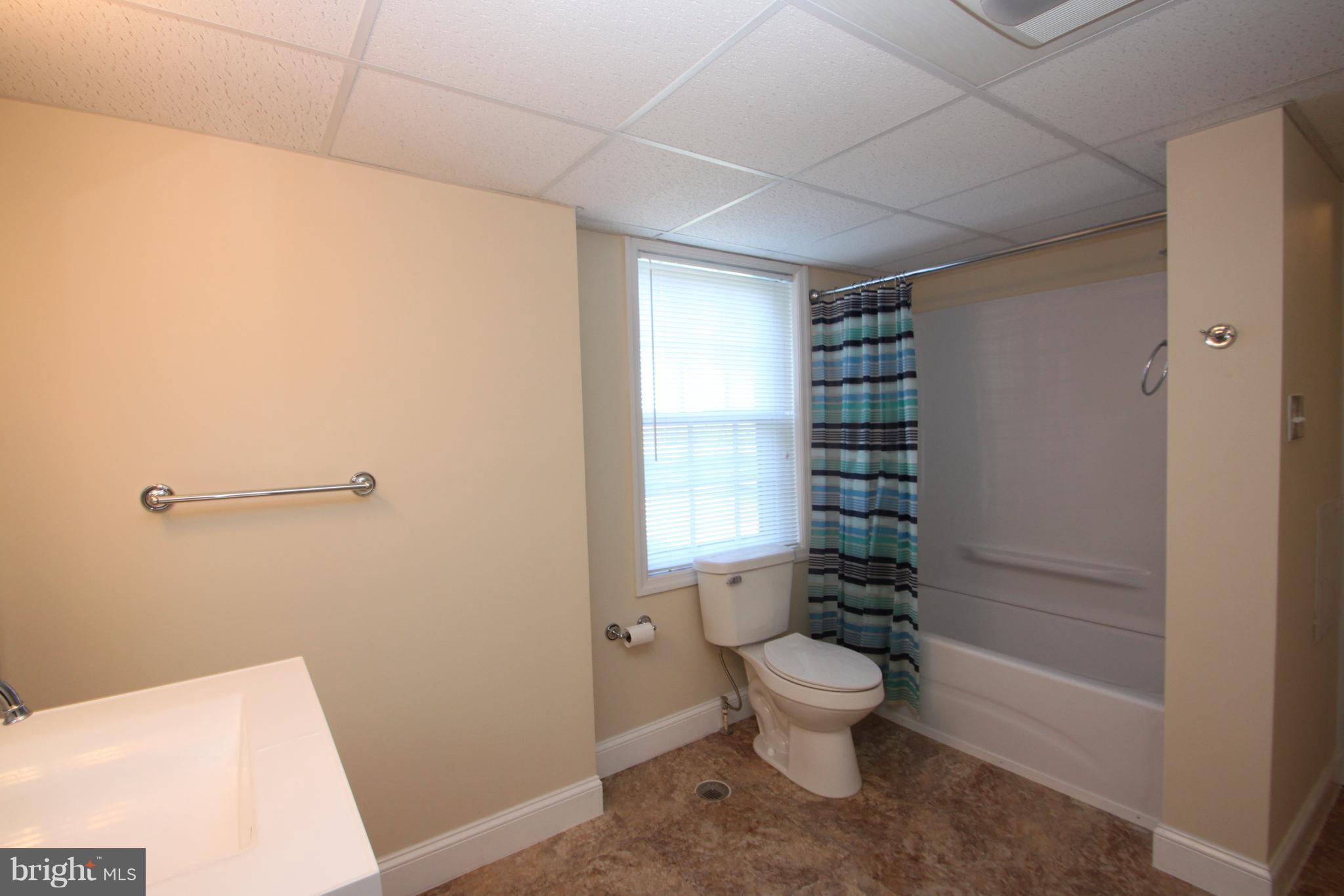8348 Rixeyville Road Rixeyville, VA 22737 - Photo 23 of 28 Full Bath in Basement