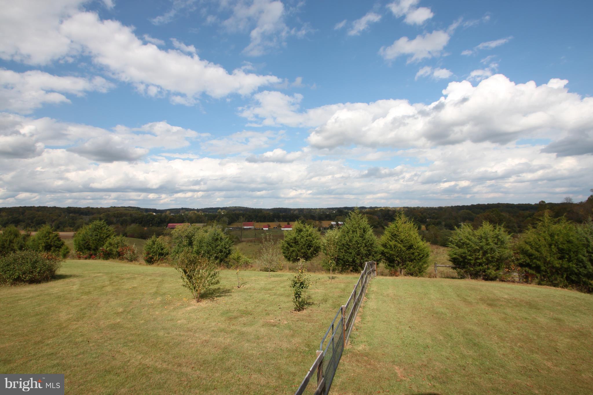 8348 Rixeyville Road Rixeyville, VA 22737 - Photo 6 of 28 Mountain and pastoral views!