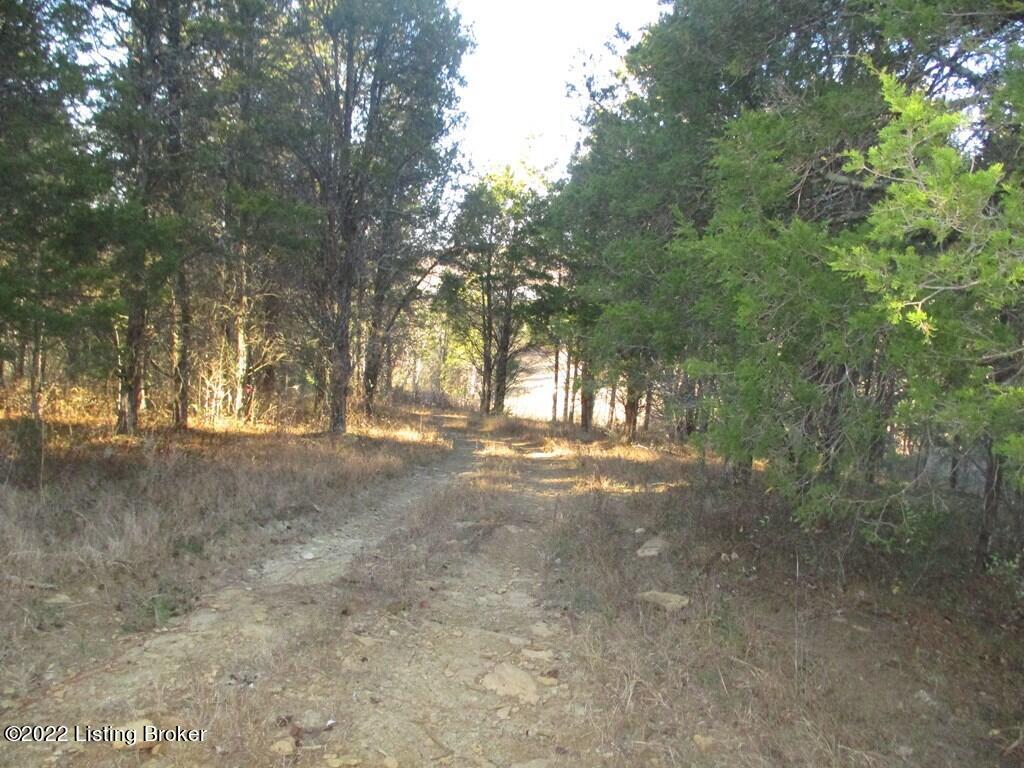 0 Freeman Road Hillsboro, KY 41049 - Photo 11 of 14 69