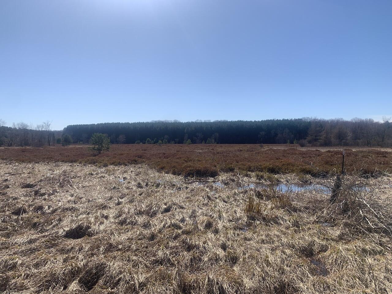 North Sherman Road Frederic, MI 49733 - Photo 17 of 22