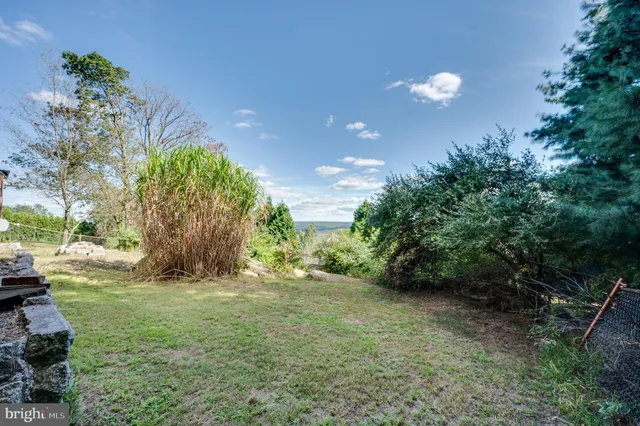 a view of a yard in front of a house