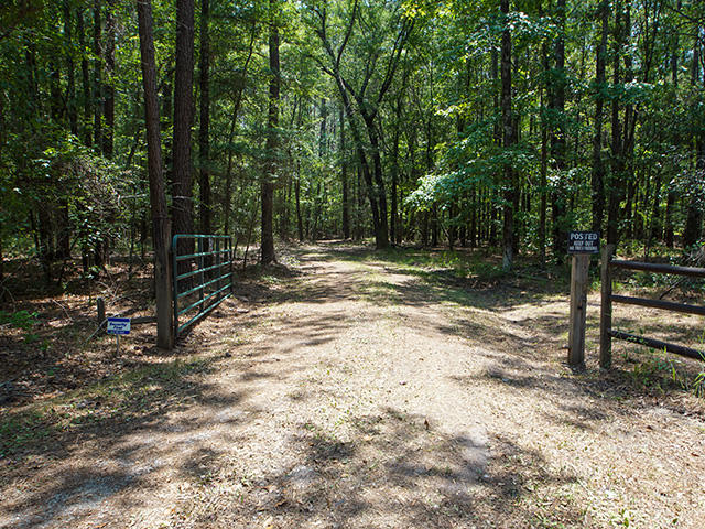 725 Highway 78 Ridgeville Sc 29472 Ridgeville, SC 29472 - Photo 1 of 39 01