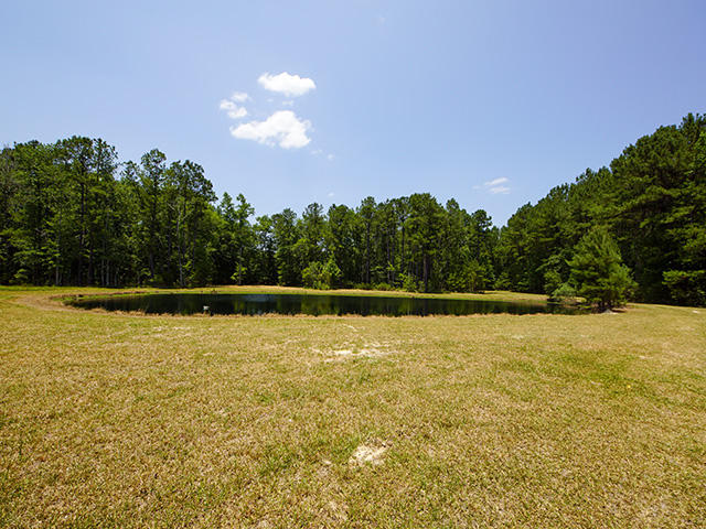 725 Highway 78 Ridgeville Sc 29472 Ridgeville, SC 29472 - Photo 32 of 39 32