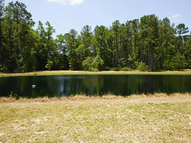 725 Highway 78 Ridgeville Sc 29472 Ridgeville, SC 29472 - Photo 34 of 39 34